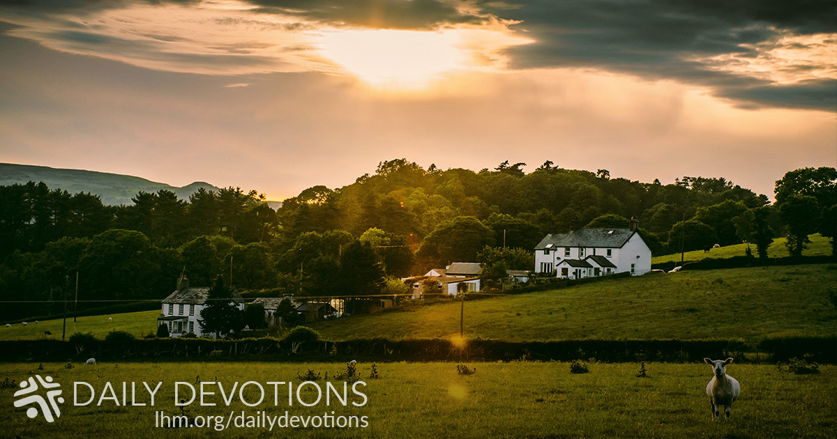 devo_1200_2023flockstorm